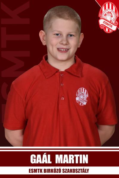 2012 Gaal Martin
