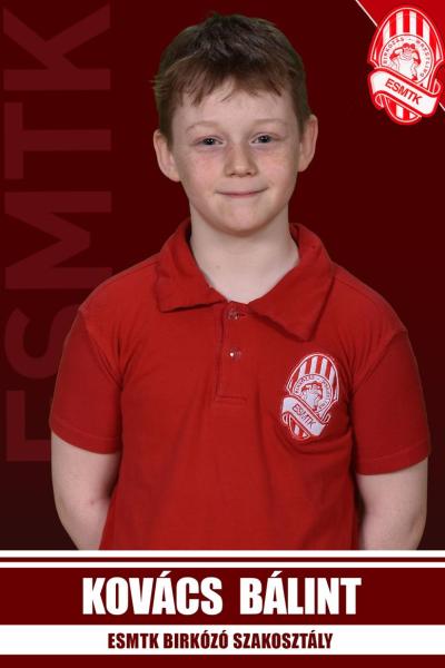 2013 Kovacs Balint