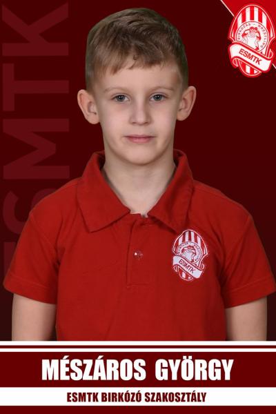 2013 Meszaros Gyorgy