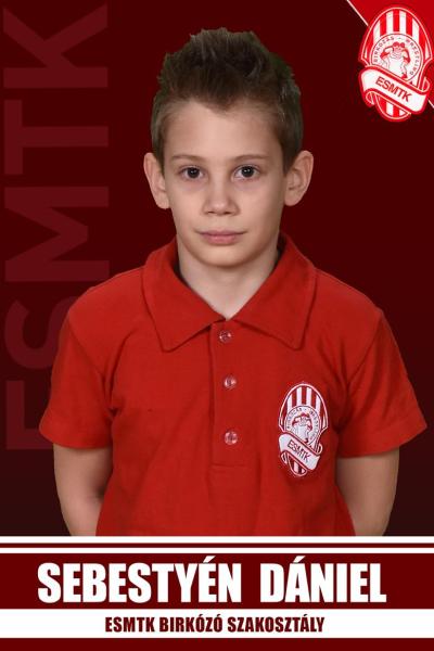 2013 Sebestyen Daniel